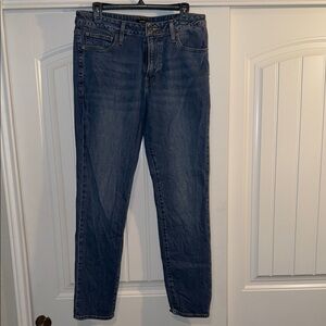 Express Men's Slim Jeans in Classic Blue